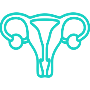 Gynecological Surgeries