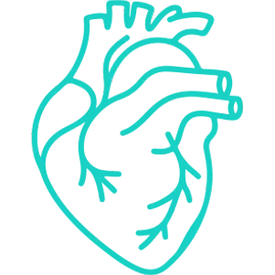 Cardiovascular Surgeries